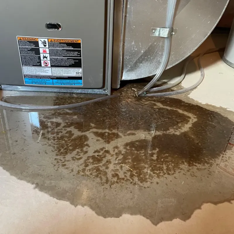 Appliance Leak Cleanup in Troutdale, OR