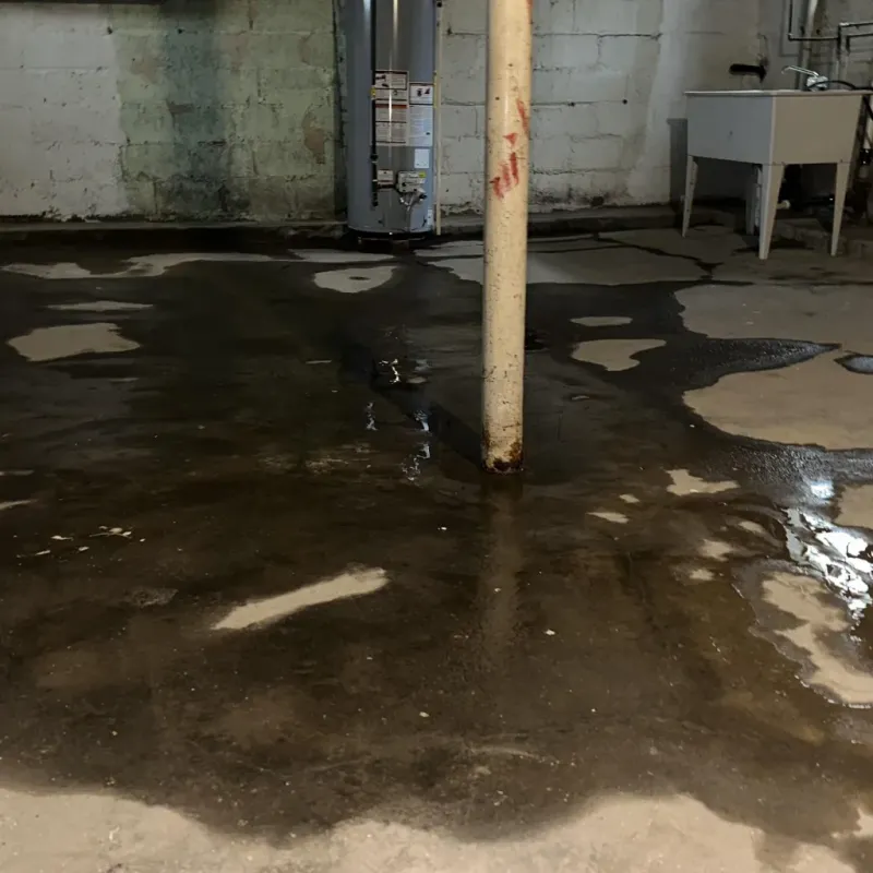 Emergency Water Extraction And Removal in Troutdale, OR